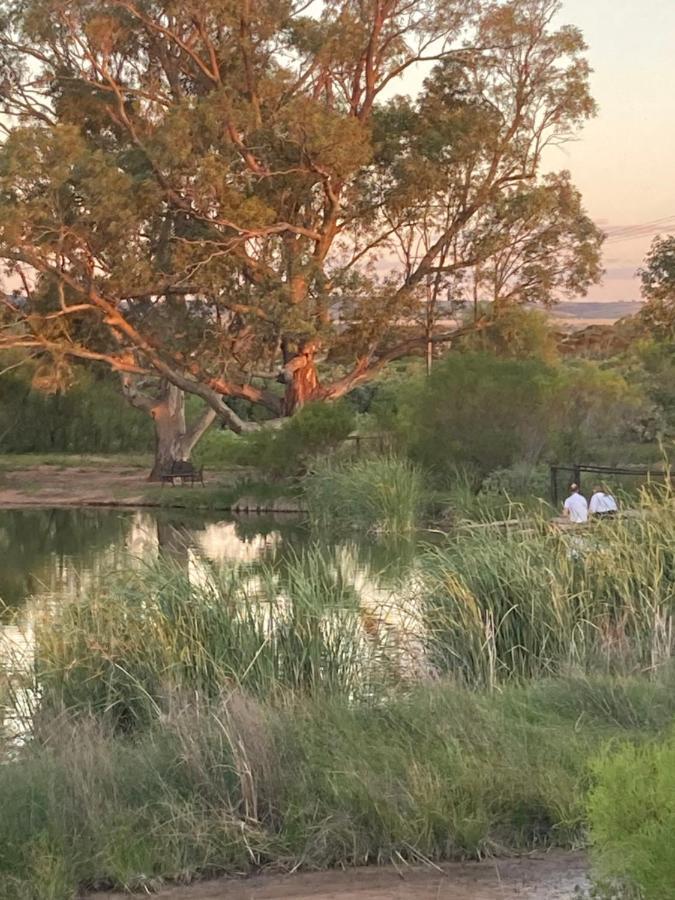 Still Earth Port Pirie Bagian luar foto