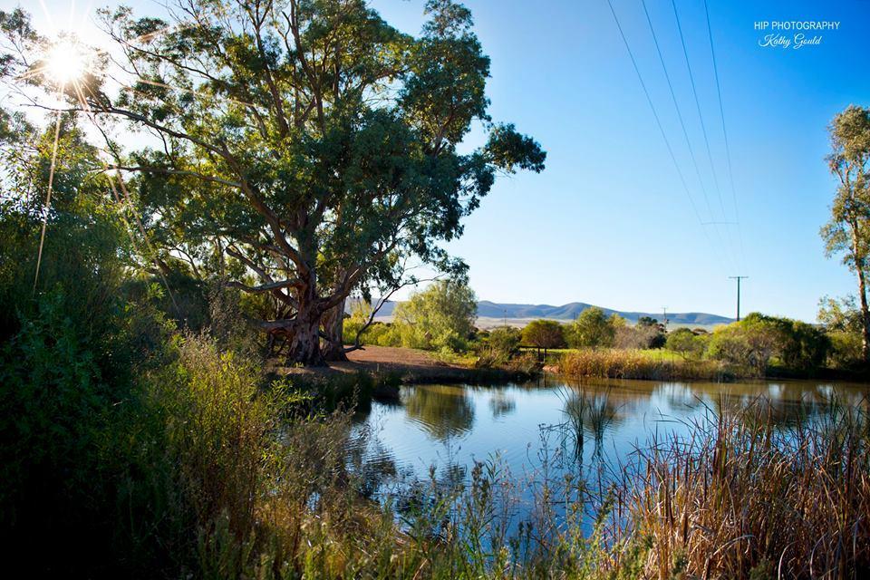 Still Earth Port Pirie Bagian luar foto